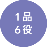 1品6役